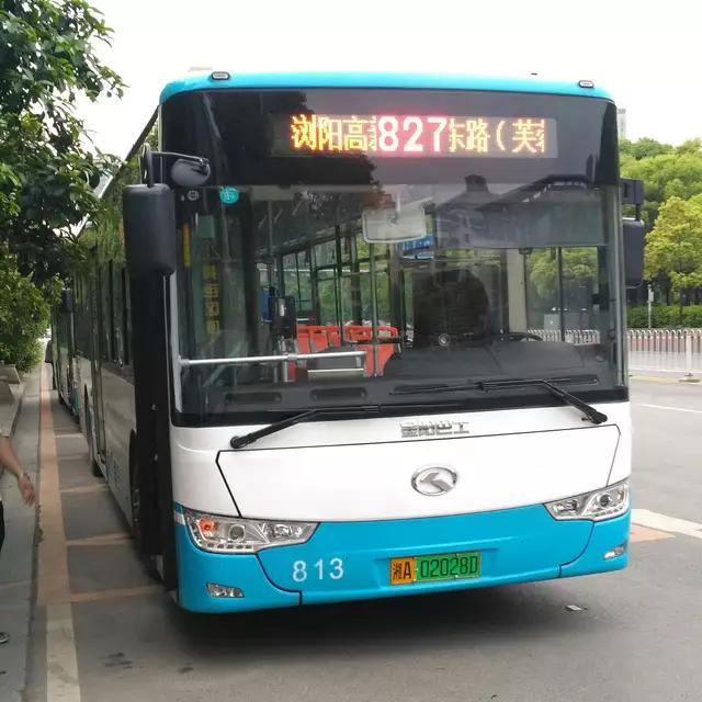 湖南14歲少年擅駛巴士，撞傷女生被帶走。網上圖片
