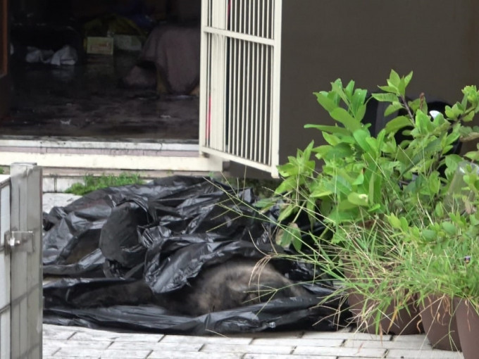 貓狗的屍體被黑膠袋掩蓋。
