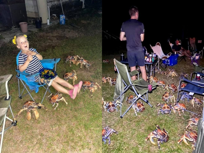 澳洲一個家庭燒烤時被52隻椰子蟹包圍。 Christmas Island Tourism FB 圖片