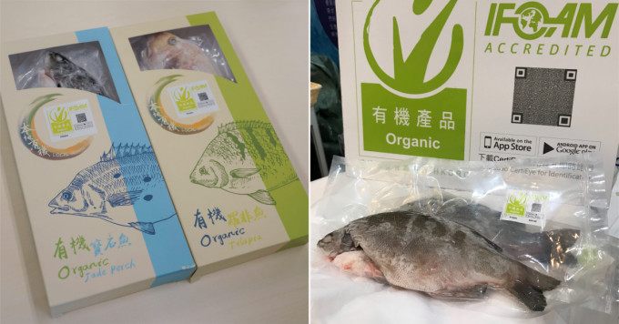 今年推出特別設計的全新「有機魚盒」，幫助辨明真貨，而每條魚的包裝上亦有QR code方便追尋來源。