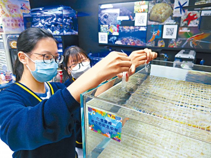 仁濟醫院靚次伯紀念中學設立的「海洋生態教室」，學生可照顧珊瑚和魚類，了解海洋的生物多樣性。