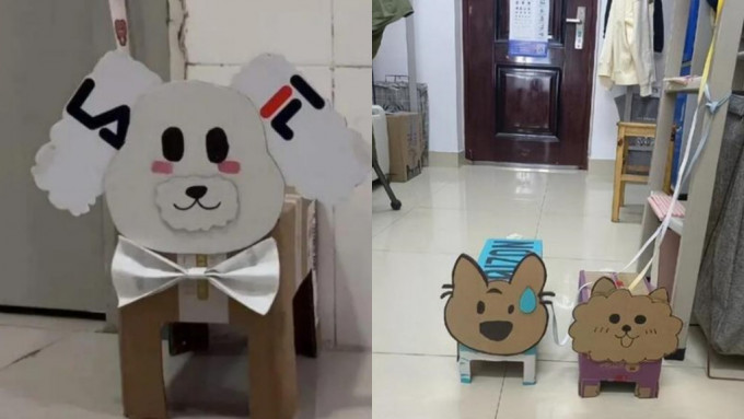 內地高校製作「紙盒狗」成新潮流。網圖
