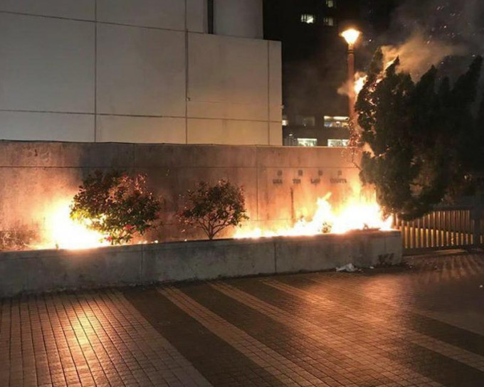 沙田法院大楼大闸外的花槽昨晚疑遭人纵火。