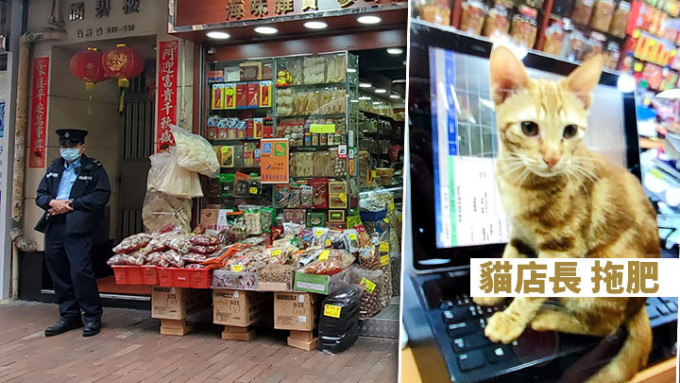 深水埗一間海味舖的貓店長被人偷走。