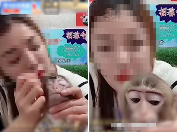 动物园女饲养员直播给猴子化妆，引发争议。