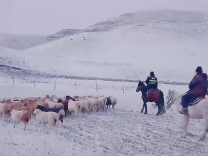 新疆牧民與800多隻羊被困大雪，民警緊急救援。