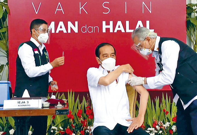 印尼總統維多多（中）昨日在總統府準備接種科興疫苗。
