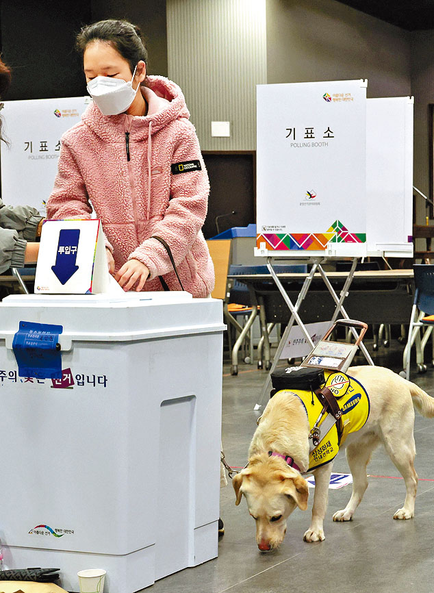 失明婦人帶同導盲犬，在首爾一個票站投票。