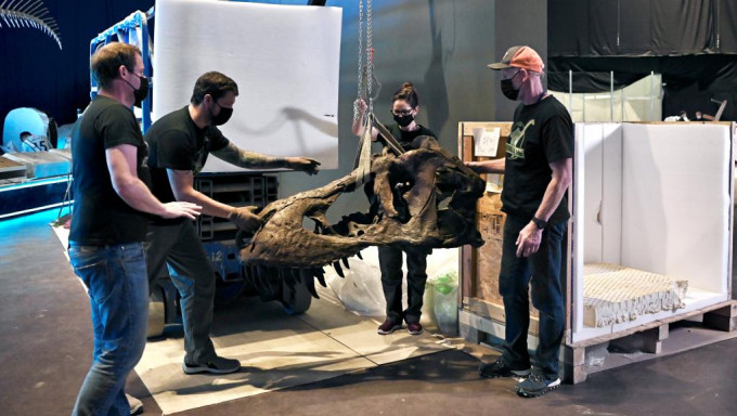 科學館現正為7月8日起舉行的大型恐龍展覽安裝展品。政府新聞處圖片