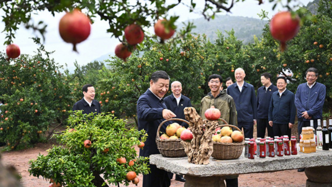 习近平在位于峄城区的冠世榴园石榴种植园了解石榴产业发展情况。新华社