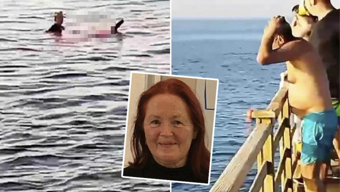 埃及红海爆鲨鱼咬死人，妇人手脚被扯断血染海水。网图