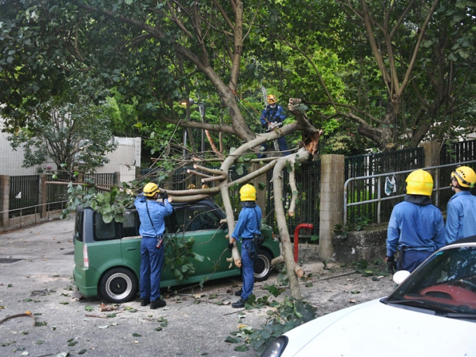 大围发生塌树桠意外，有私家车被击中。