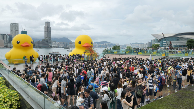 今日（18日）是父親節，同時是黃色橡皮鴨在港展出的最後一天，大批市民把握最後機會到添馬公園現場「打卡」。陳浩元攝