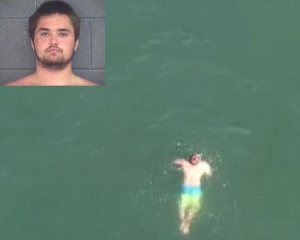 美国一名男子，为了逃避追捕跳入海中，途中被一条鲨鱼跟踪（网上图片）