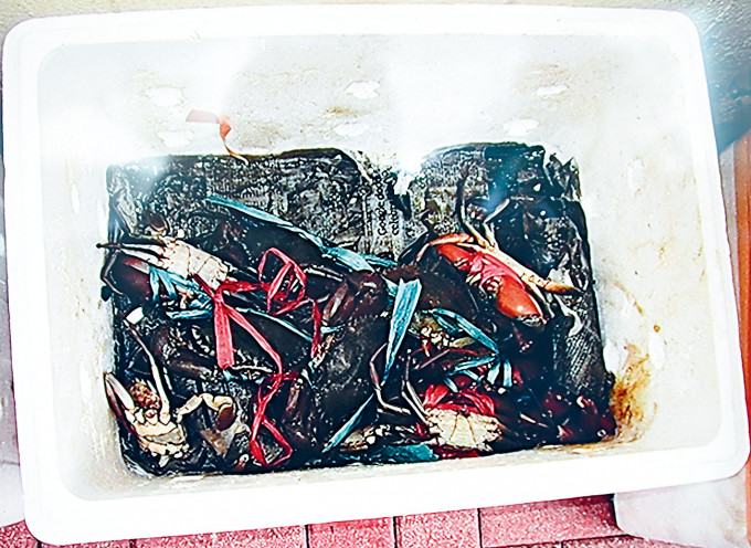 ■贩毒集团以活蟹掩饰偷运液态「冰」毒。