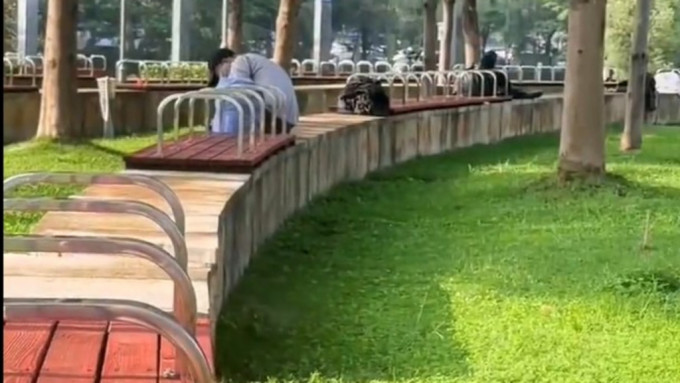 深圳一处绿化地的木凳加装隔离栏 。