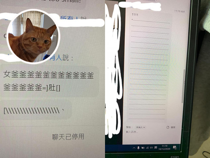 家貓誤打誤撞在電腦上打字。「天下貓貓一樣貓」群組網民Tracy Chiu 圖片