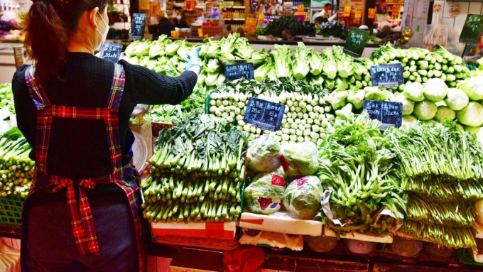 菜芯及白菜昨日平均批發價分別為每斤12.8元及6.4元。資料圖片