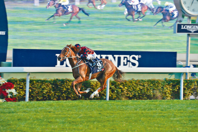 「馬克羅斯」勇奪香港盃，是蕭劍平心目中蕭氏家族馬匹最難得的勝仗。
