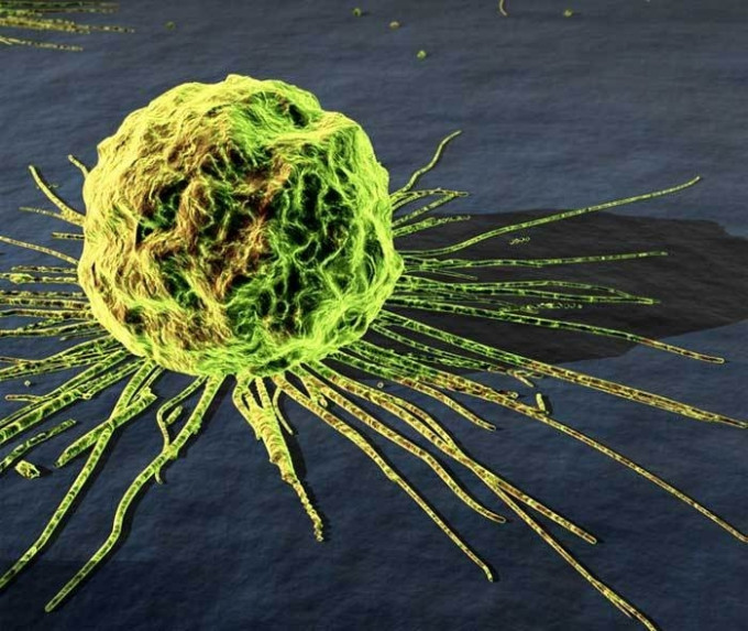 科學家利用一種實驗性新藥，針對現時半數的抗藥性癌症個案，成功減慢癌細胞的生長速度。網圖