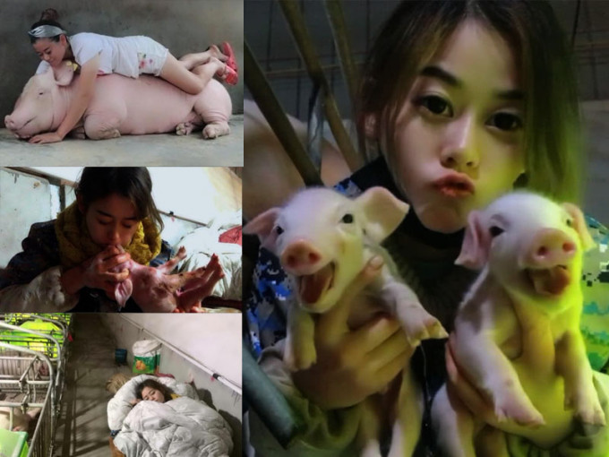 湖北27岁女子肖芳6年前接手父亲养猪场，每天用心经营，如今她年收入超过100万元人民币。（网图）