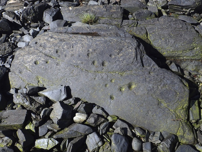 考古学家在美国阿拉斯加科迪亚克岛，发现相信是史前遗留下来的捕鱼器。美联社