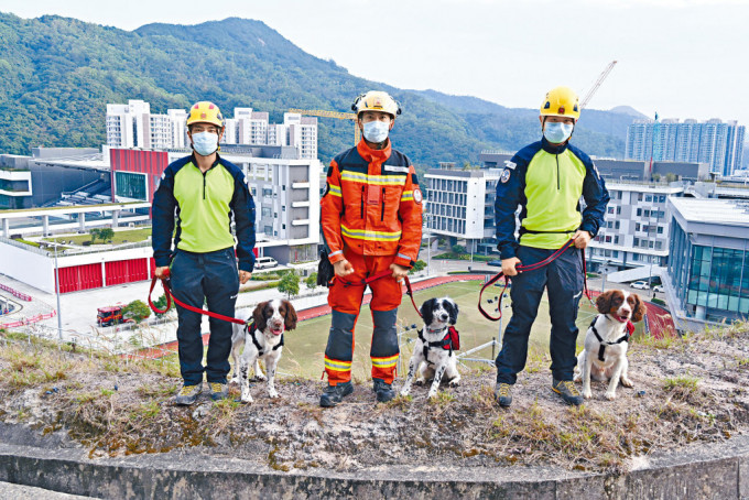 左起：領犬員陳柱匡與搜救犬Umi、領犬員姜偉文與搜救犬Uma、領犬員蔣天朗與搜救犬Twix。