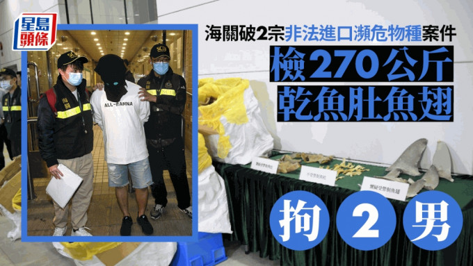 海關破2宗非法進口​瀕危物種案件 檢270公斤乾魚肚魚翅拘2男