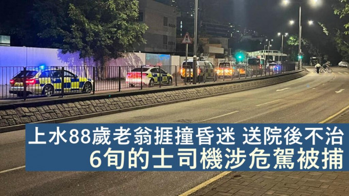 上水一名八旬老翁遭一辆的士撞倒昏迷，送院后证实不治。「香港突发事故报料区」FB图片