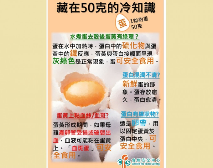 食物安全中心列出五點一一拆解蛋的疑惑。