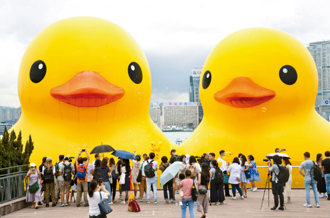黃鴨重臨香江，不少港人圍觀搶先拍照。