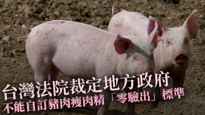 台湾的宪法法院就「莱猪」问题的释宪案裁定，地方政府不能自行订立「零验出」标准。Pixabay示意图