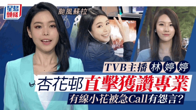 台风苏拉丨TVB主播林婷婷出外景一举动获赞专业 有线新闻小花开工有怨言？