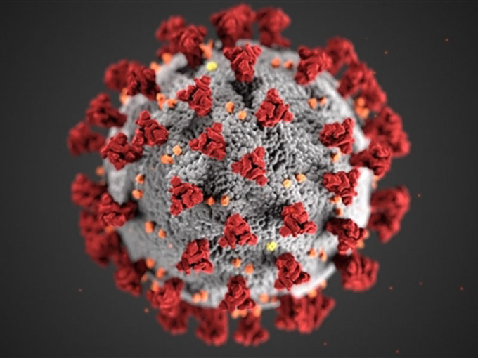 美研究指新冠病毒2月已發生變異。(網圖)