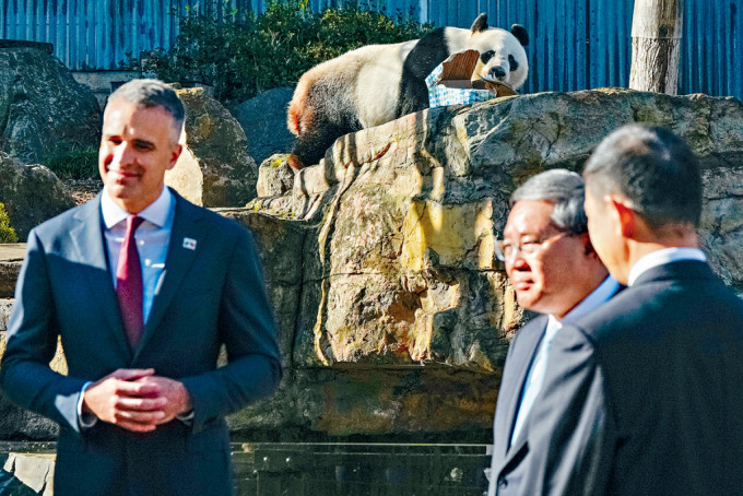 總理李強參訪阿德萊德動物園，宣布將提供兩隻新的大熊貓予澳洲。