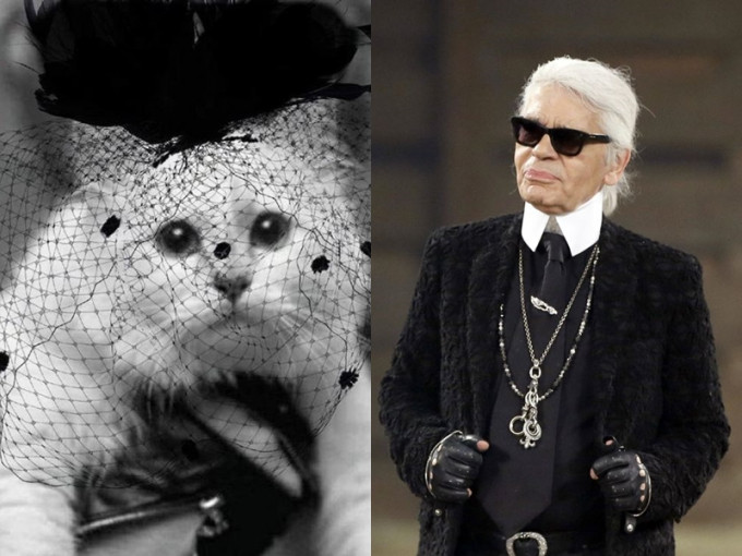 Karl Lagerfeld的愛貓Choupette亦有出席。網圖