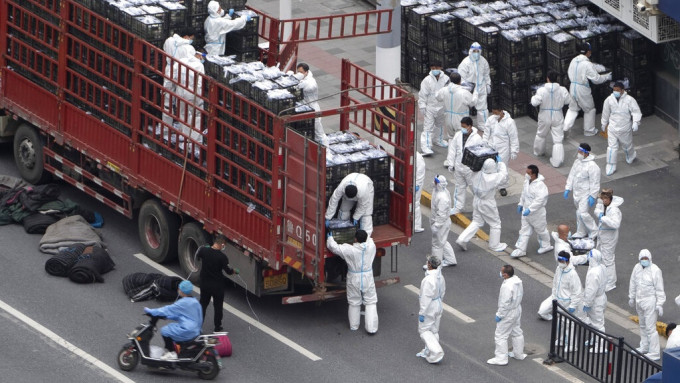 上海疫情严重，现正全城抗疫。美联社图片
