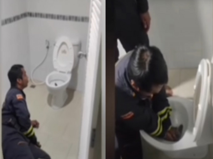 泰国一名男子如厕时发现马桶有条蟒蛇。影片截图
