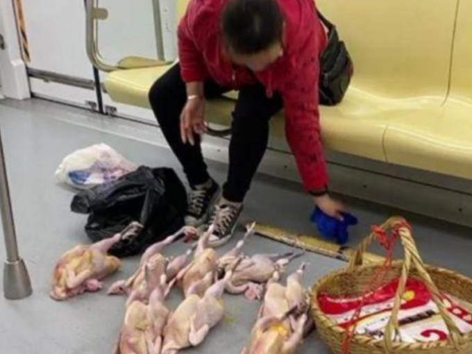 南京大媽在地鐵車廂內賣雞。網圖