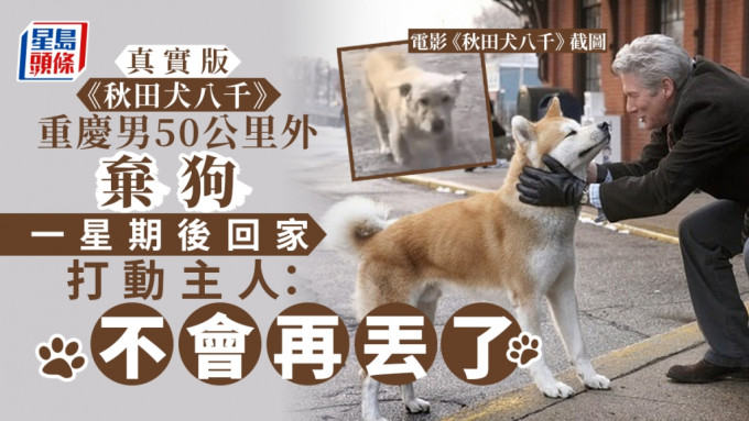 重庆一名狗主日前将狗狗带到50公里外的远处遗弃，但它竟自行回到家中。网上图片、电影《秋田犬八千》截图