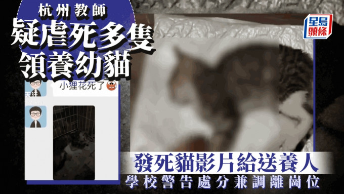 杭州教師傳虐死多隻領養幼貓，還發死貓影像給送養人。