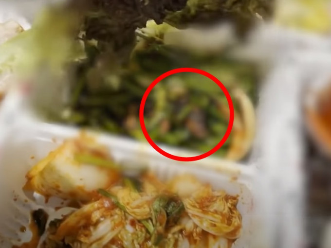 一只老鼠躺在外卖餐盒里面。影片截图