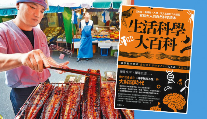 日本鰻魚產量不夠，故有部分會用中國進口鰻魚來充當一下。