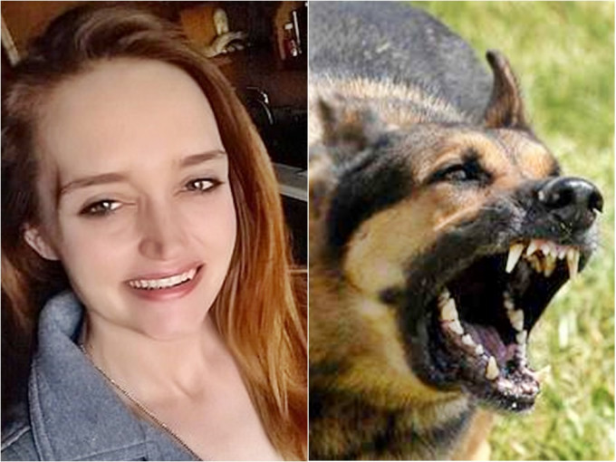 美国女子布朗被7只恶犬活活咬死。网图