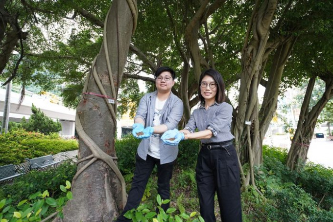 IVE（柴灣）應用科學系高級講師盧廷詩（右）與IVE生物科技高級文憑畢業生何耀忠（左）參與研發採集泥土樣本快速鑑定樹木真菌品種的DNA檢測方法。