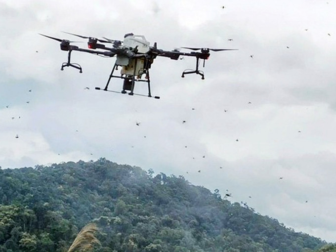 当局派无人机喷药防治蝗灾。网上图片