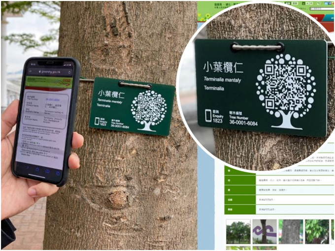 市民扫描「树牌」上的二维条码，便可获取更详尽资讯。
