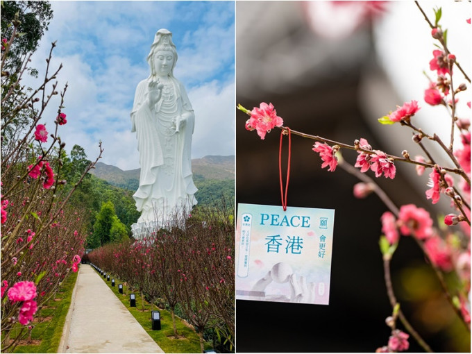 慈山寺將於農曆初七重開。慈山寺圖片