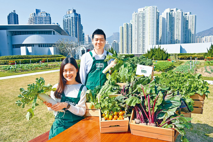 坐落于九龙湾商厦天台的「宏天空中农庄」全新登场，让都市人便捷地感受绿色生活的乐趣。
　　