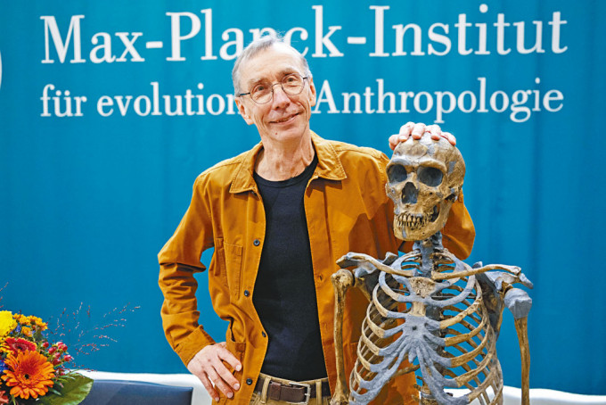 瑞典遺傳學家佩博周一在萊比錫的馬克斯普朗克進化人類學研究所，與尼安德特人複製品合照。